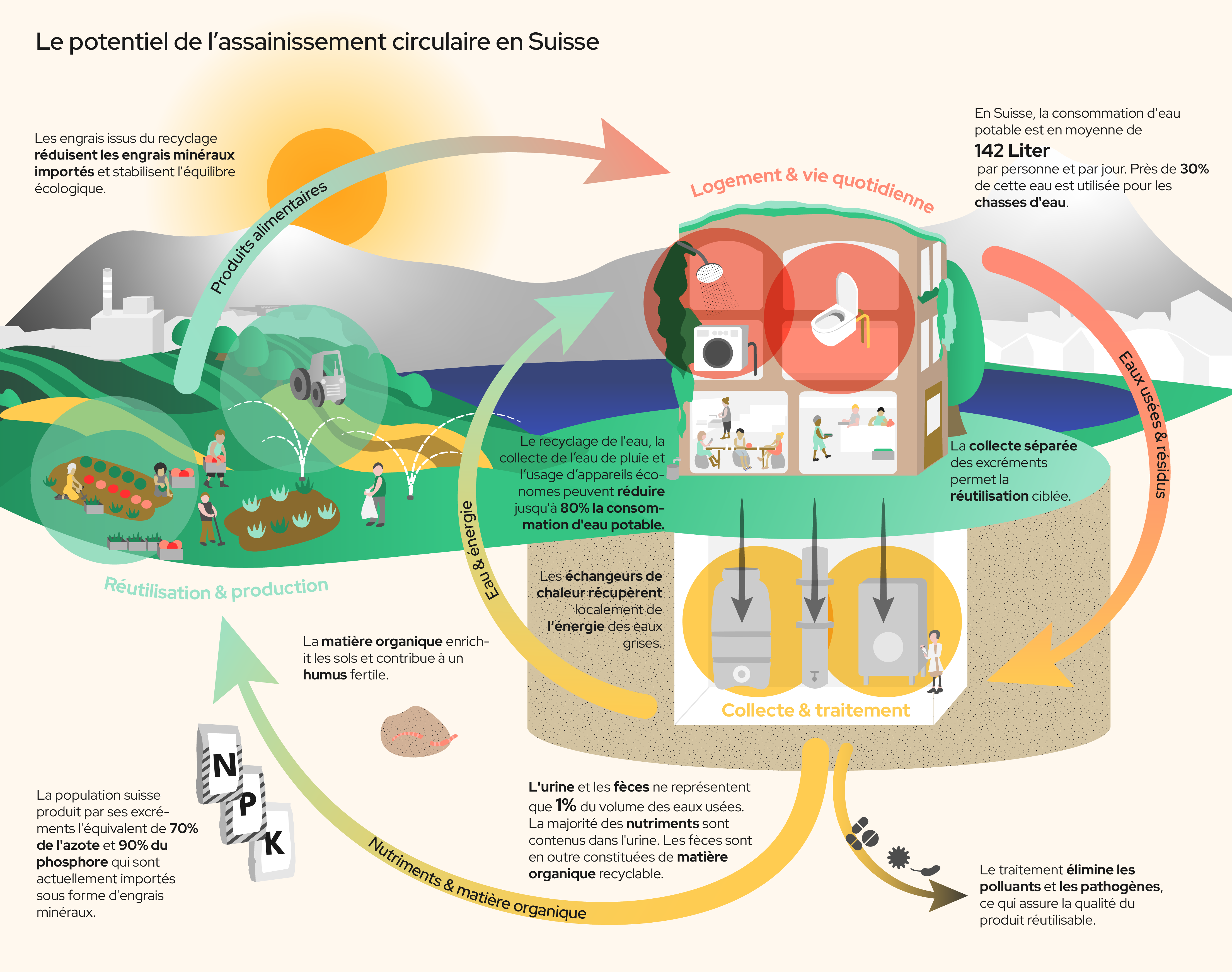 Infografic explaining the potential of circular sanitation in Switzerland